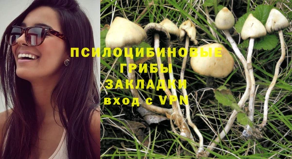 стаф Абдулино