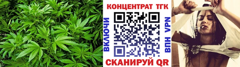 дарнет шоп  Суздаль  MEGA   Дистиллят ТГК THC oil 