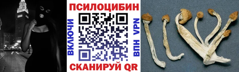 Галлюциногенные грибы Magic Shrooms  Суздаль 